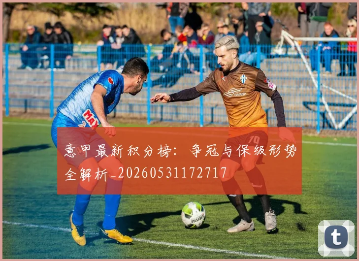 意甲最新积分榜：争冠与保级形势全解析_20260531172717