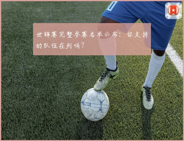 世锦赛完整参赛名单公布：你支持的队伍在列吗？